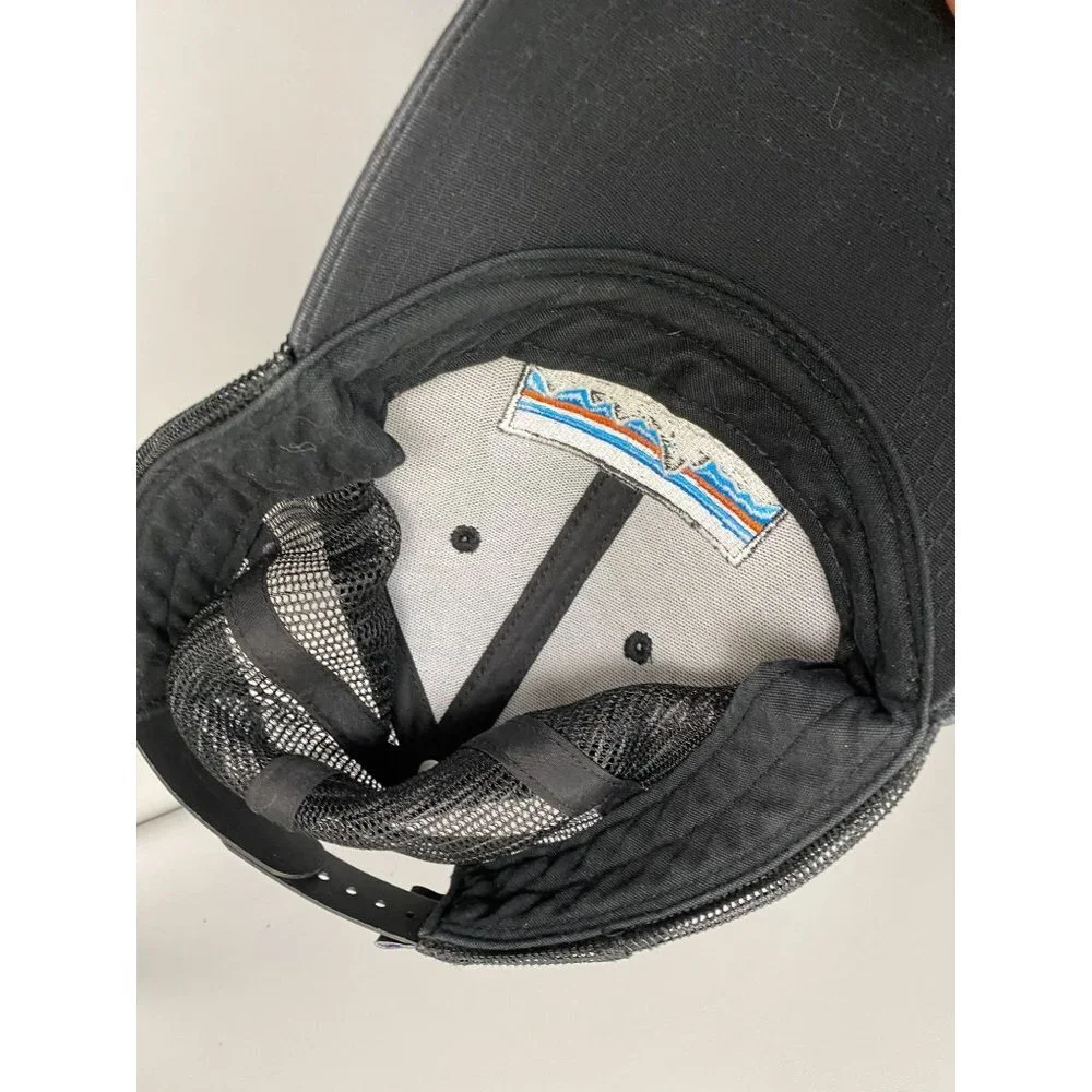 Patagonia baseball cap